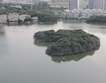 三水云东海和美乡村研学路线发布！