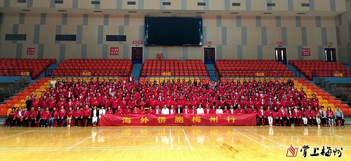 600多名海外侨胞,“转屋夸”! 600多名海外侨胞,“转屋夸”!