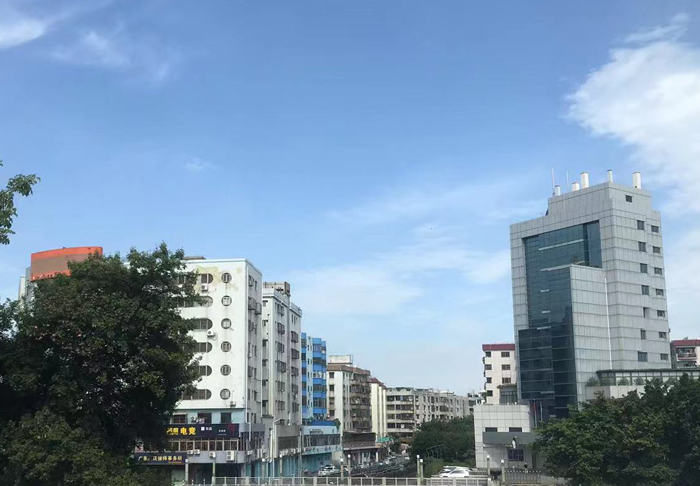 2024云东海街道新春花市摊位招募开始了！连续14天