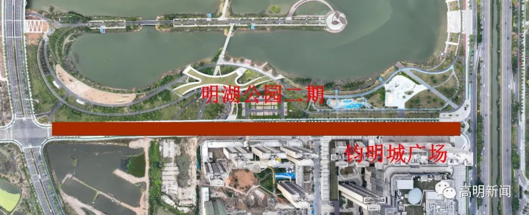 佛山高明区2024年迎春花市来了，就在荷城这个位置→