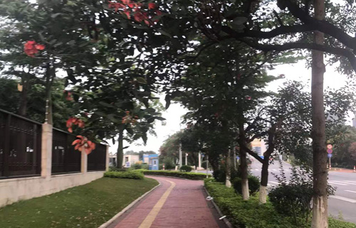 禅城区石湾镇番村村风貌线路道路提升工程更正公告