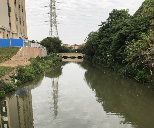 2024-2025年度潭洲水道、平洲水道（石湾段）河道岸线日常保洁业务竞争性磋商公告