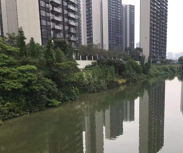 南海狮山镇生活污水提升截污改造项目招标公告 南海狮山镇生活污水提升截污改造项目招标公告