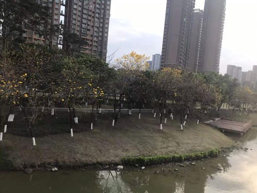 佛山市柒伍柒科技有限公司旅游景点部分推荐 佛山市柒伍柒科技有限公司旅游景点部分推荐