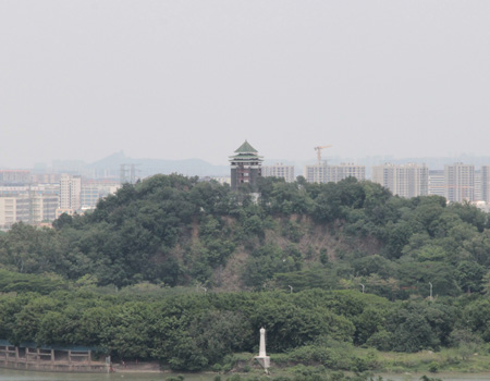 大雾岗森林公园：文化、生态与创意的交融之地