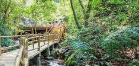 南丹山森林公园:自然与文化的融合之美 南丹山森林公园:自然与文化的融合之美