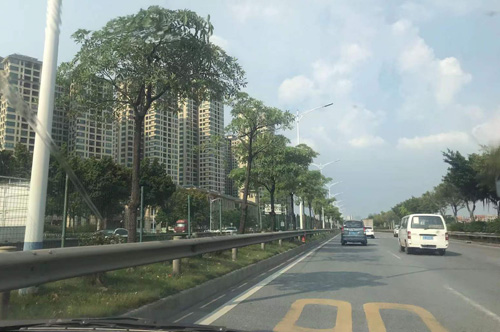 狮中立交桥:佛山市的交通枢纽与城市地标 狮中立交桥:佛山市的交通枢纽与城市地标
