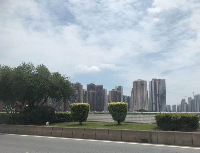 佛山市南海区九江大谷小学:教育之花绽放 佛山市南海区九江大谷小学:教育之花绽放
