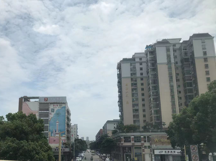佛山市金溪市场:繁荣的商贸枢纽与多元文化交汇点 佛山市金溪市场:繁荣的商贸枢纽与多元文化交汇点