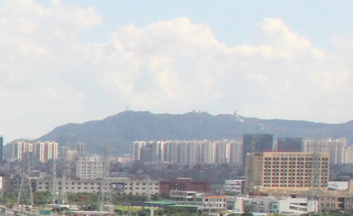 佛山海关驻高明办事处靠前服务、精准帮扶，构建特色农产品出口“快车道”