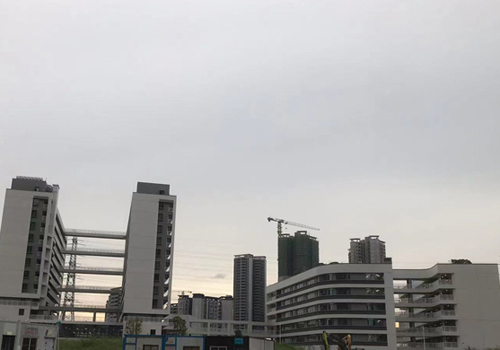 2024年禅城区公办初中自主选校开始了! 2024年禅城区公办初中自主选校开始了!