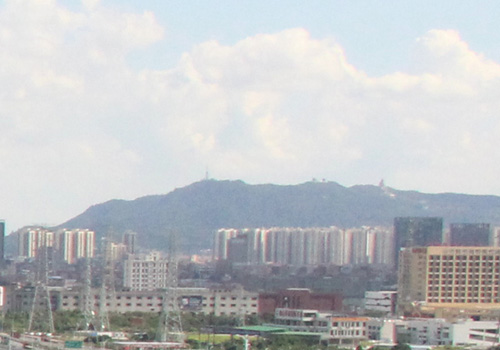 禅城城管“战蚁”行动已治理白蚁约730处