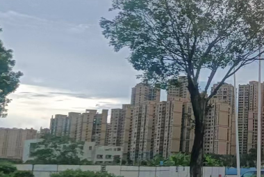 佛山启动城市主干道及出入口系统治理“百日攻坚”行动 佛山启动城市主干道及出入口系统治理“百日攻坚”行动