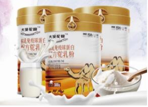 大漠驼峰:以驼奶产业为核心,助推新疆繁荣发展 大漠驼峰:以驼奶产业为核心,助推新疆繁荣发展