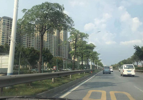 高明区荷城街道“百千万工程”—东西村挡土墙和排水管工程邀请招标公告 高明区荷城街道“百千万工程”—东西村挡土墙和排水管工程邀请招标公告