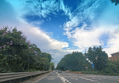 佛山南海区华龙路:繁华与宁静的交织 佛山南海区华龙路:繁华与宁静的交织