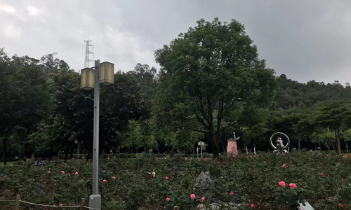 感受佛山市南海区桂城半月岛生态公园的魅力风情 感受佛山市南海区桂城半月岛生态公园的魅力风情