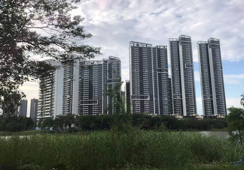佛山全力推进招投标制度系统性改革 佛山全力推进招投标制度系统性改革