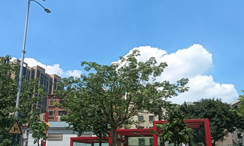 佛山泓丰酒店:舒适与品质的完美邂逅 佛山泓丰酒店:舒适与品质的完美邂逅