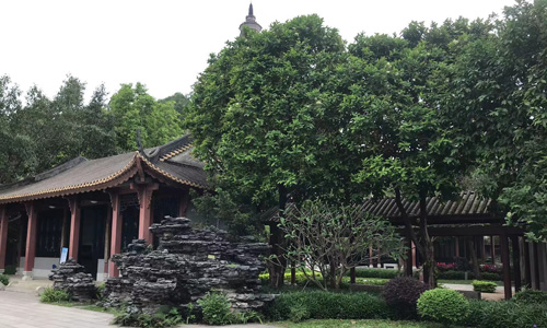 佛山佛山,有什么山? 佛山佛山,有什么山?